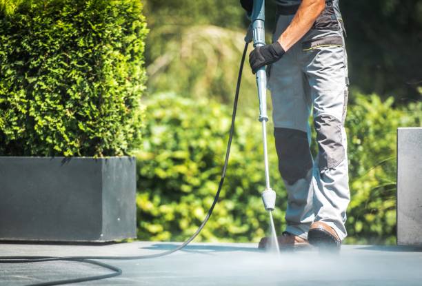 Best Sidewalk and Walkway Pressure Cleaning in Laredo, TX