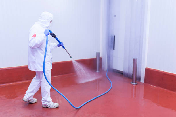 Trusted Laredo, TX Pressure Washing Services Experts